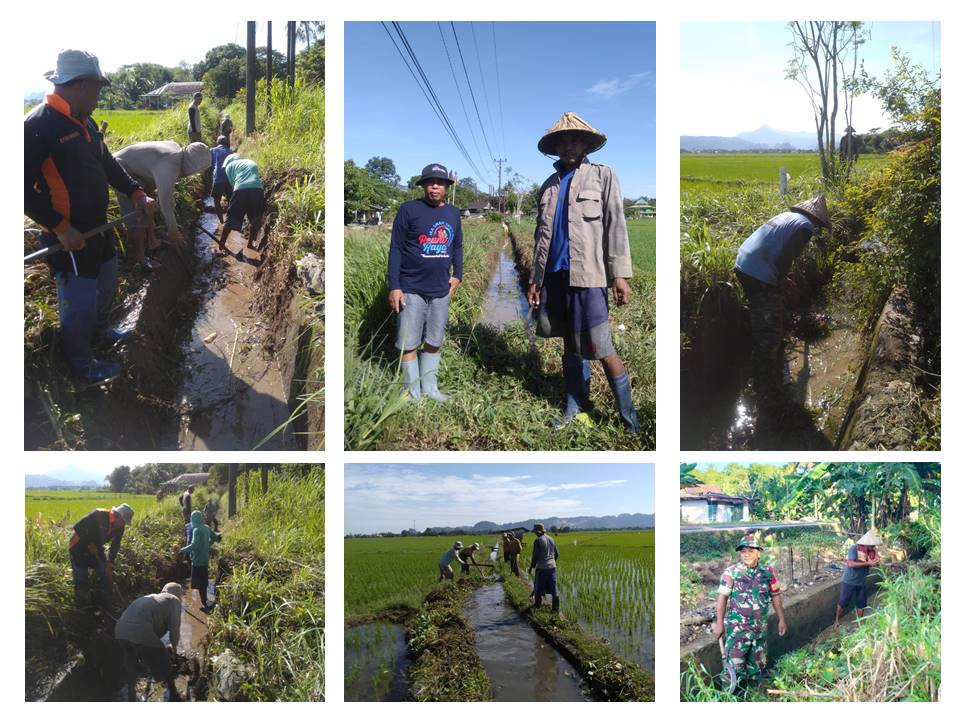 Gotong Royong Pembersihan Saluran Irigasi