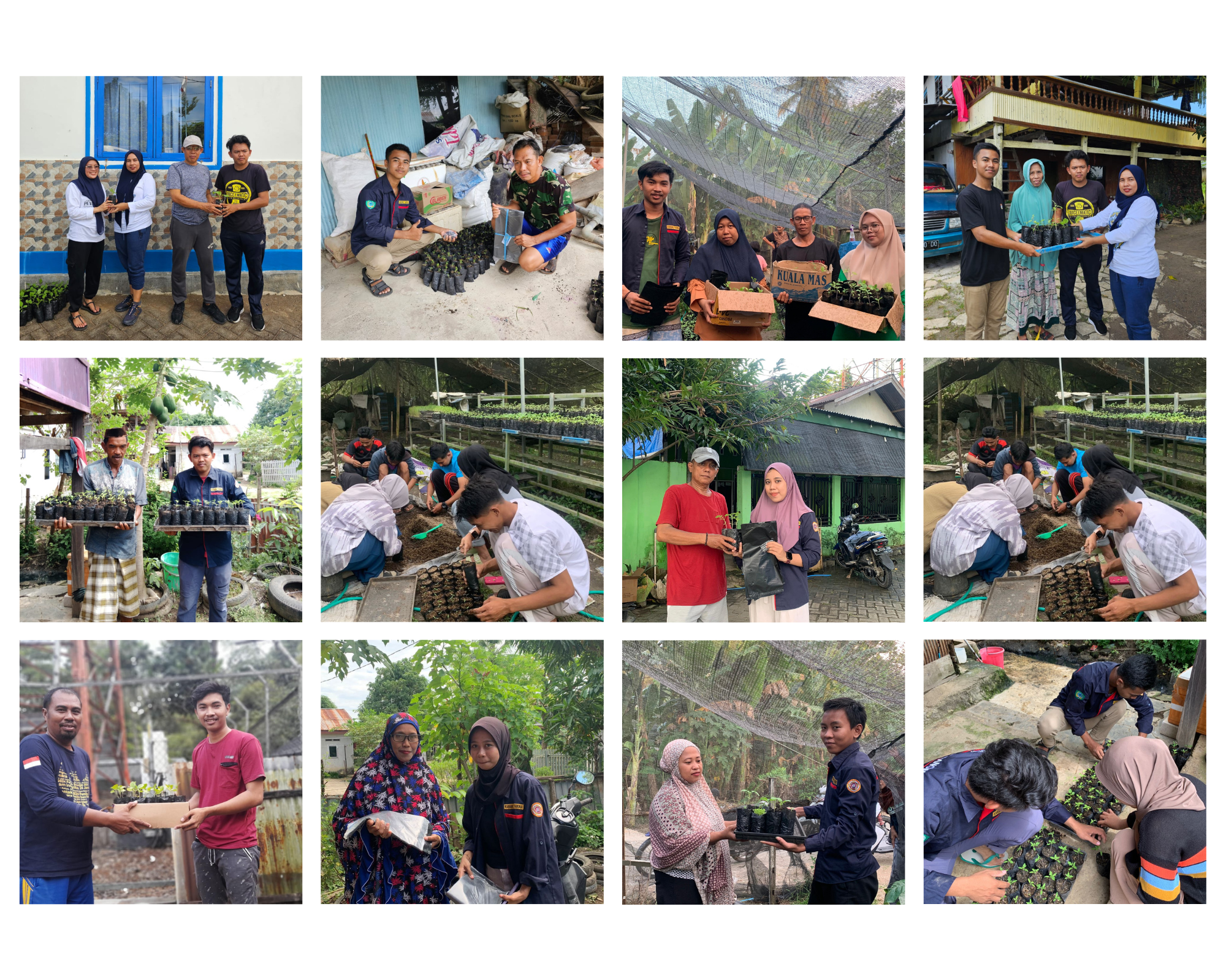 Pembagian Bibit Sayuran