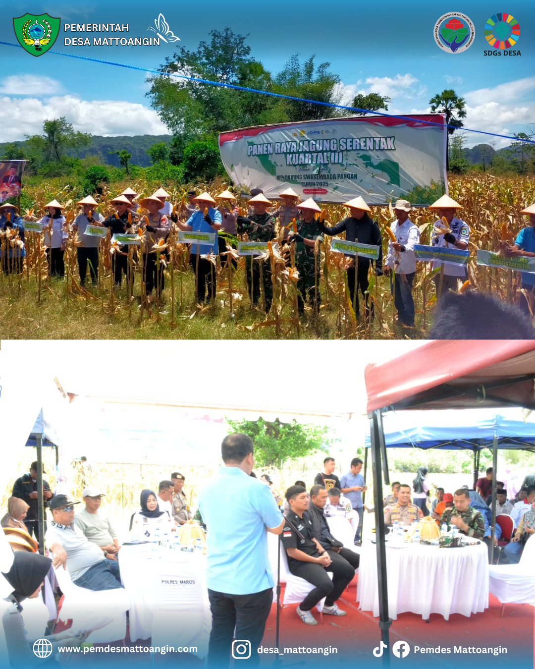 Panen Raya Jagung Serentak Kuartal III